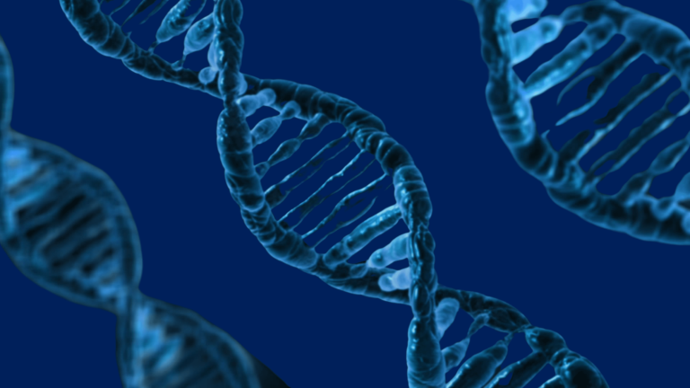SE Therapeutics a finalisé sa levée de fonds pour accélérer le  développement de ses thérapies innovantes